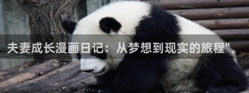 免费看日韩漫画：夫妻成长漫画日记：从梦想到现实的旅程\