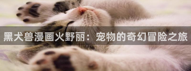 韩漫怎么看免费漫画入口：黑犬兽漫画火野丽：宠物的奇幻冒险之旅