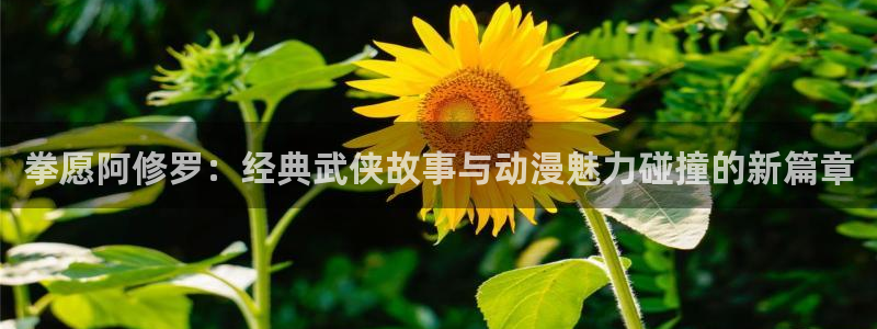 韩漫在线观看.：拳愿阿修罗：经典武侠故事与动漫魅力碰撞的新篇章