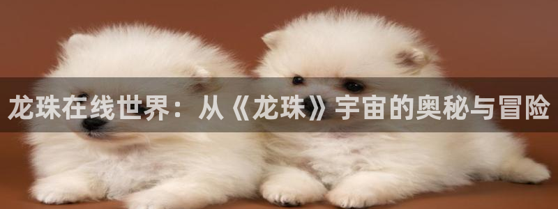 韩漫家在线免费观看：龙珠在线世界：从《龙珠》宇宙的奥秘与冒险