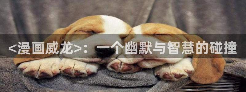 韩漫社歪歪漫画：<漫画威龙>：一个幽默与智慧的碰撞