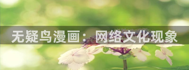 yy韩漫在线观看免费：无疑鸟漫画：网络文化现象